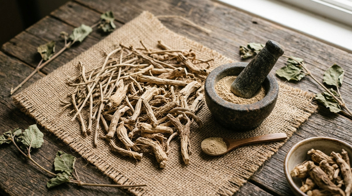 Punarnava Benefits: Kidney, Liver, Fluid Balance and How to Use Spreading Hogweed