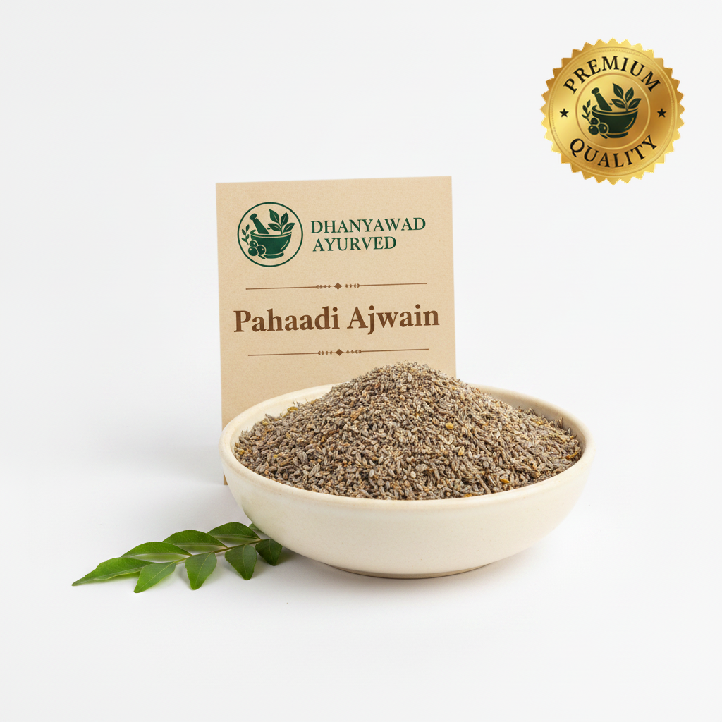 Pahaadi Ajwain - Dhanyawad Ayurved