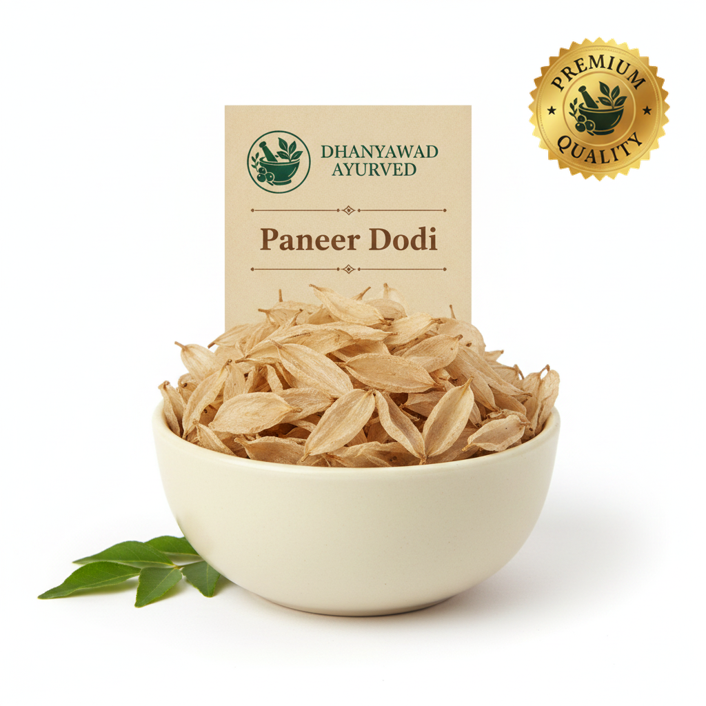 Paneer Dodi - Dhanyawad Ayurved