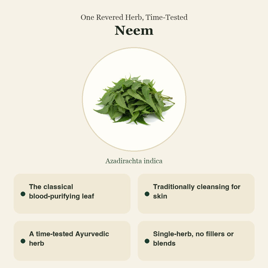 Neem Patta Capsule | Neem Leaf | नीम पत्ता