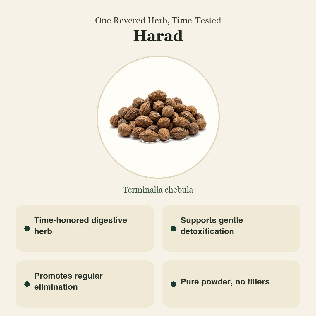 Harad (Chhoti) | Small Chebulic Myrobalan | हरड़ छोटी