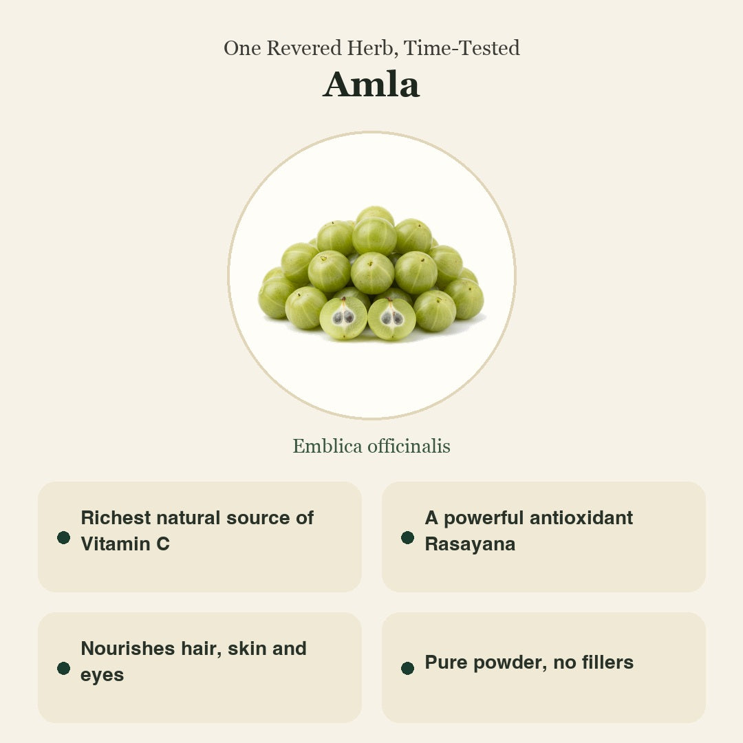 Amla Powder | Indian Gooseberry | आंवला