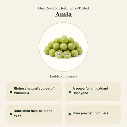 Amla Powder | Indian Gooseberry | आंवला