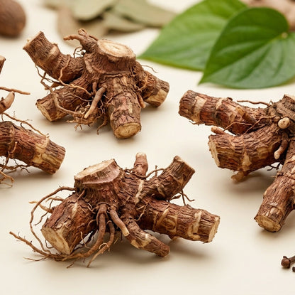 Paan ki Jad (Kulanjan, पान की जड़) dried galangal pieces – Dhanyawad Ayurved