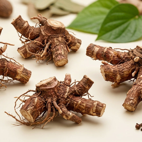 Paan ki Jad | Betel Plant Root | पान की जड़