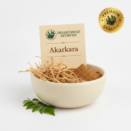 Akarkara - Dhanyawad Ayurved