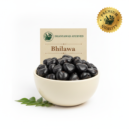 Bhilawa - Dhanyawad Ayurved