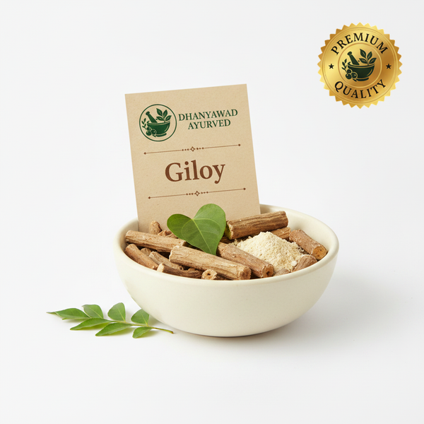 Giloy - Dhanyawad Ayurved