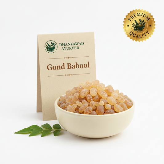 Gond Babool - Dhanyawad Ayurved