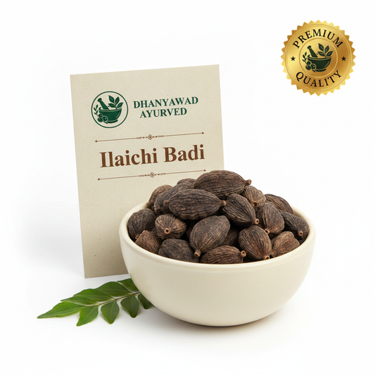 Ilaichi Badi - Dhanyawad Ayurved