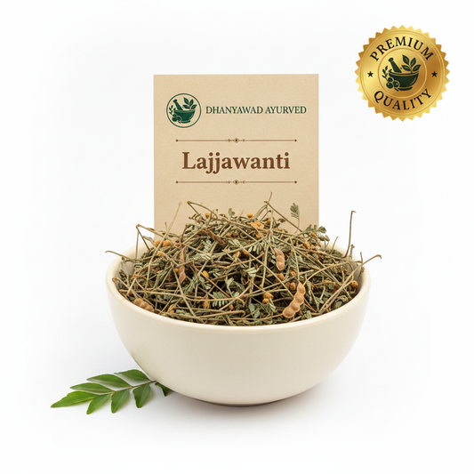 Lajjawanti - Dhanyawad Ayurved