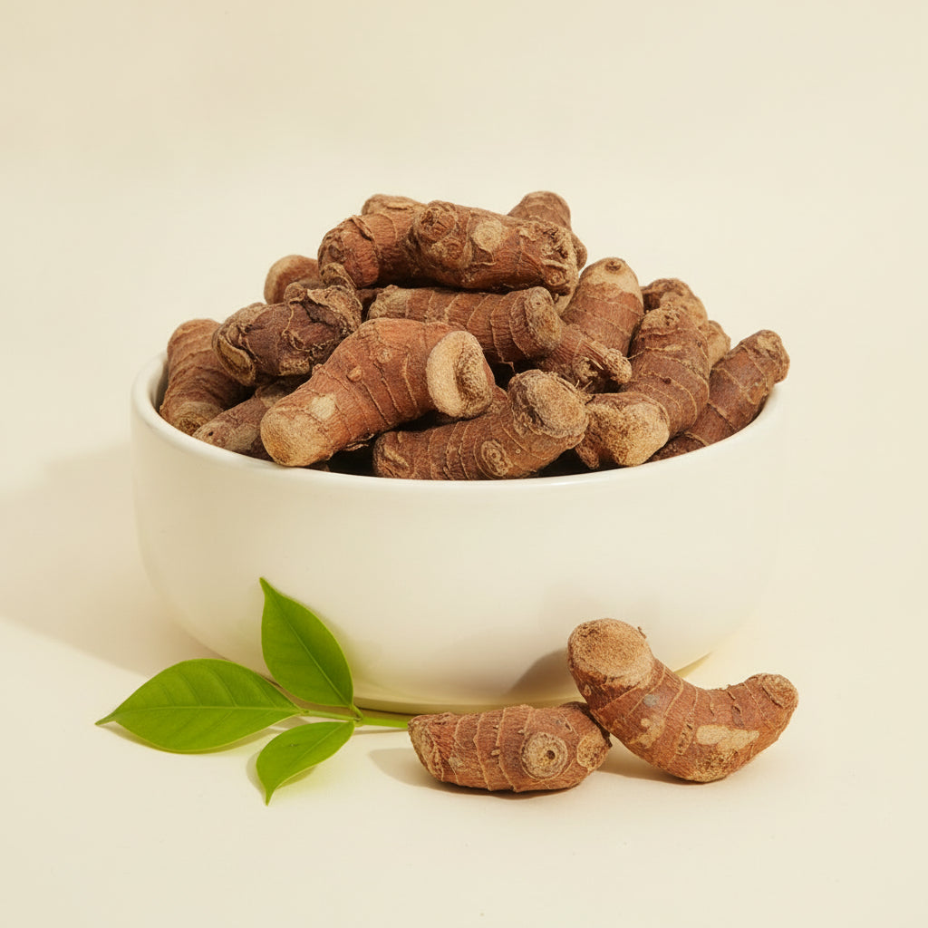 Paan ki Jad (Kulanjan) dried galangal pieces in a bowl