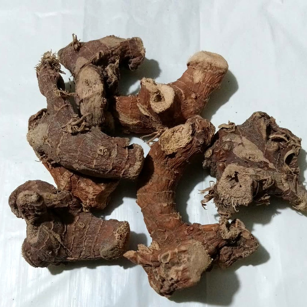 Real Dhanyawad Ayurved Paan ki Jad (Kulanjan) stock – knobby reddish-brown galangal pieces with ring marks