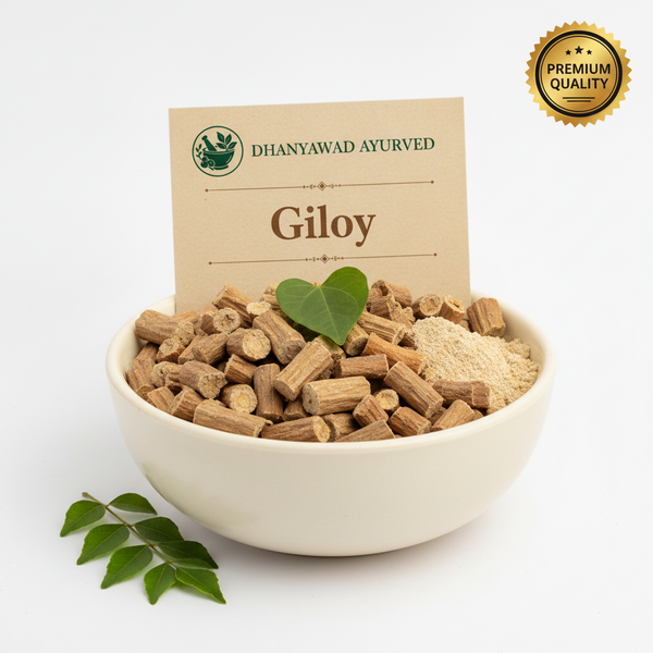 Giloy - Dhanyawad Ayurved