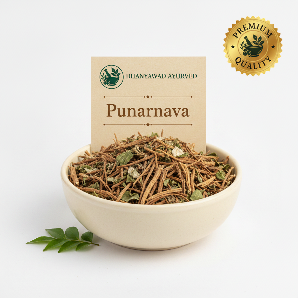 Punarnava - Dhanyawad Ayurved