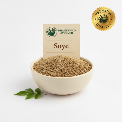 Soye (dill seeds, सोये, suva) in a bowl – Dhanyawad Ayurved